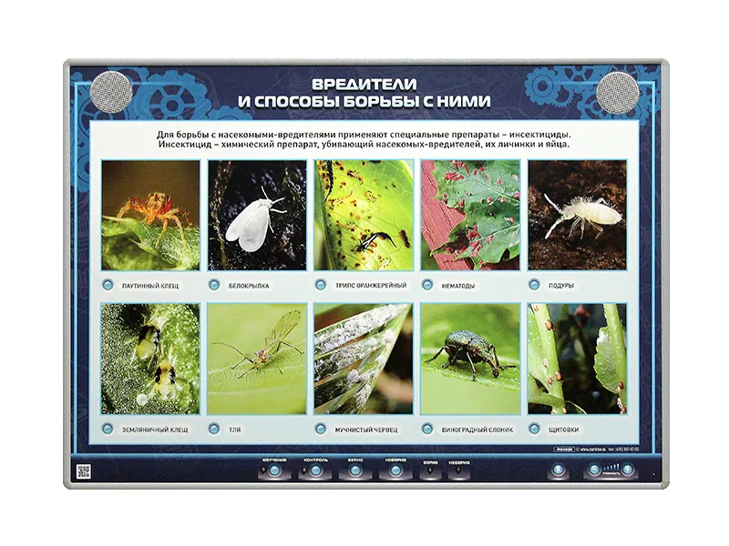 Стенд Зарница вредители и способы борьбы с ними